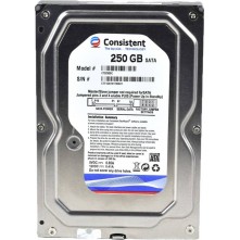 Consistent 250GB Harddisk