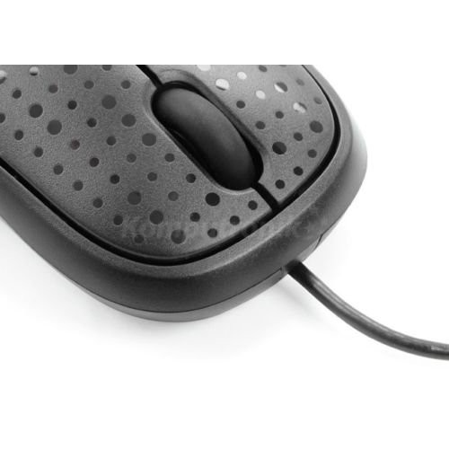 Lenovo M110 USB Optical Mouse (Black)